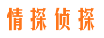 石景山市侦探调查公司